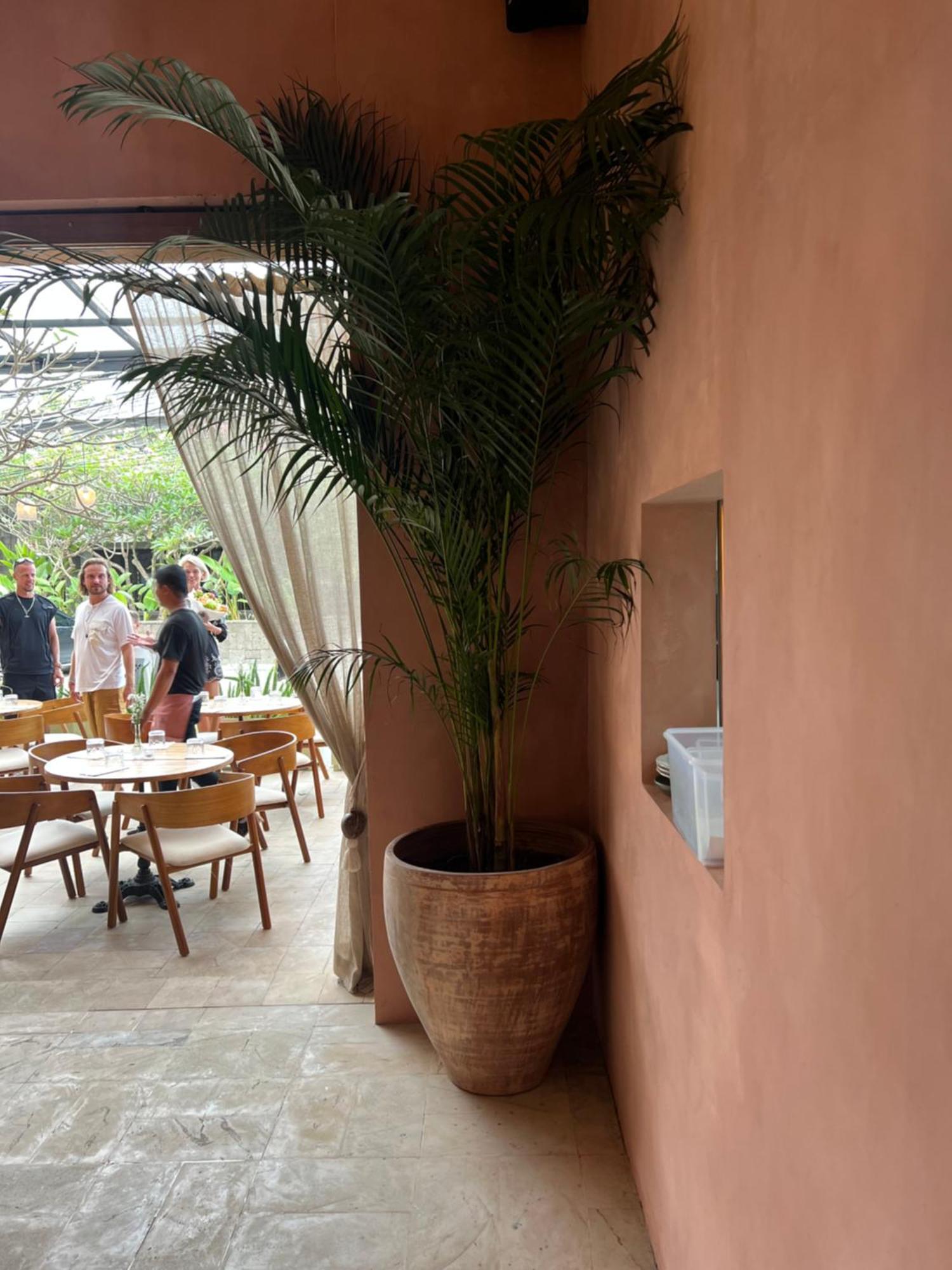 Grass Terrace Homestay Canggu Kültér fotó