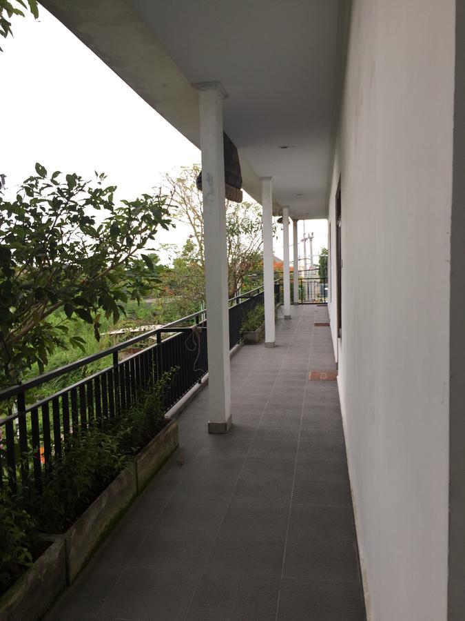 Grass Terrace Homestay Canggu Kültér fotó